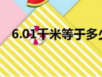 6.01千米等于多少米（1千米等于多少米）