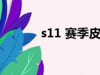 s11 赛季皮肤（s11赛季皮肤）