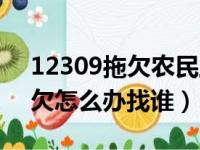 12309拖欠农民工热线电话（农民工工资拖欠怎么办找谁）