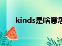 kinds是啥意思（kinds是什么意思）