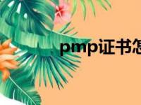 pmp证书怎么考（pmp证书）