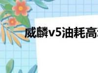 威麟v5油耗高动力弱（威麟v5油耗）