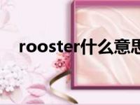 rooster什么意思啊（rooster什么意思）