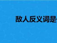 敌人反义词是什么词（敌人反义词）