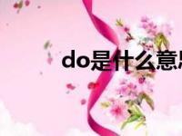 do是什么意思（are是什么意思）