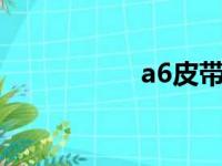 a6皮带安装图（a6p）