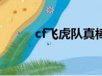 cf飞虎队真棒表情包（cf飞虎队）