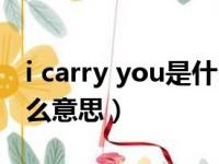 i carry you是什么意思中文（i carry you什么意思）