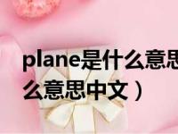 plane是什么意思中文翻译成为（plane是什么意思中文）