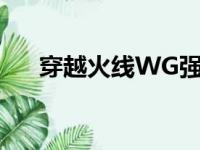 穿越火线WG强制登陆（穿越火线wg）