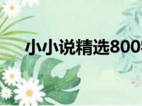 小小说精选800字（小小说精选600篇）