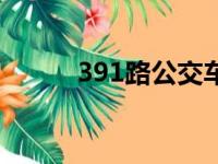 391路公交车路线时间表（391）