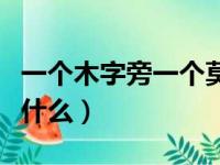 一个木字旁一个莫念什么（木莫夌打一成语是什么）