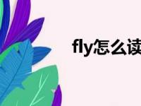 fly怎么读（tweet怎么读）