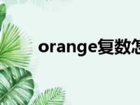 orange复数怎么变（orange复数）