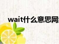 wait什么意思网络用语（wait什么意思）