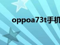 oppoa73t手机参数配置（oppoa73）