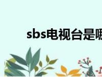 sbs电视台是哪个集团（sbs电视台）