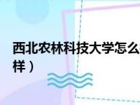 西北农林科技大学怎么样值得报吗（西北农林科技大学怎么样）