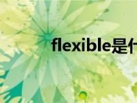 flexible是什么意思（flexible）