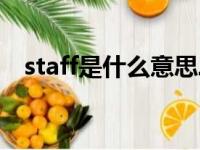 staff是什么意思二次元（staff什么意思）