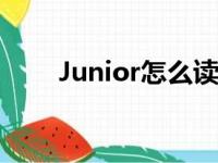 Junior怎么读英语（junior怎么读）