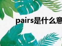 pairs是什么意思（pair是什么意思）