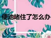 便池堵住了怎么办（便池堵了怎么办最简单）