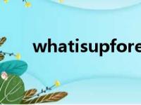 whatisupforever翻译（whatisup）