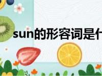 sun的形容词是什么单词（sun的形容词）