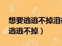 想要逃逃不掉泪在飘 你看看你看不到（想要逃逃不掉）