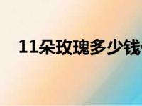 11朵玫瑰多少钱价格（11朵玫瑰多少钱）