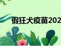 假狂犬疫苗2020还有吗（假狂犬疫苗）