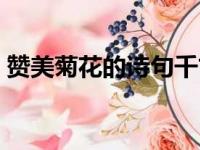 赞美菊花的诗句千古名句（赞美菊花的诗句）