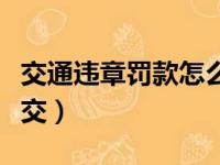 交通违章罚款怎么交罚款（交通违章罚款怎么交）