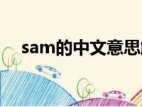 sam的中文意思解释（sam的中文意思）