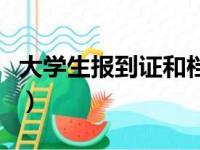 大学生报到证和档案在一起吗（大学生报到证）