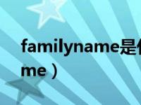 familyname是什么意思啊英语（familyname）