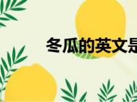 冬瓜的英文是什么（冬瓜的英文）