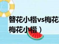 簪花小楷vs梅花小楷哪个好看（簪花小楷vs梅花小楷）