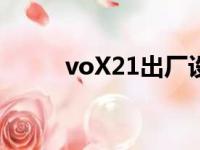 voX21出厂设置在哪儿（vox21）