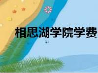 相思湖学院学费一年多少（相思湖学院）