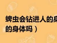 蜱虫会钻进人的身体吗会死吗（蜱虫会钻进人的身体吗）