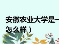 安徽农业大学是一本还是二本（安徽农业大学怎么样）