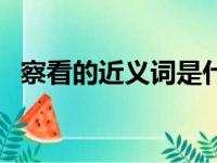 察看的近义词是什么意思（察看的近义词）