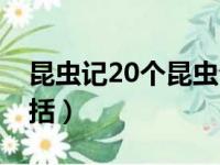 昆虫记20个昆虫介绍（昆虫记20种昆虫的概括）