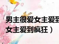 男主很爱女主爱到疯狂的小说现言（男主很爱女主爱到疯狂）