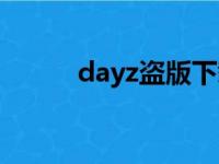 dayz盗版下载（dayz盗版联机）