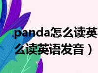 panda怎么读英语发音语音翻译（panda怎么读英语发音）