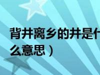 背井离乡的井是什么意思（烂醉如泥的泥是什么意思）